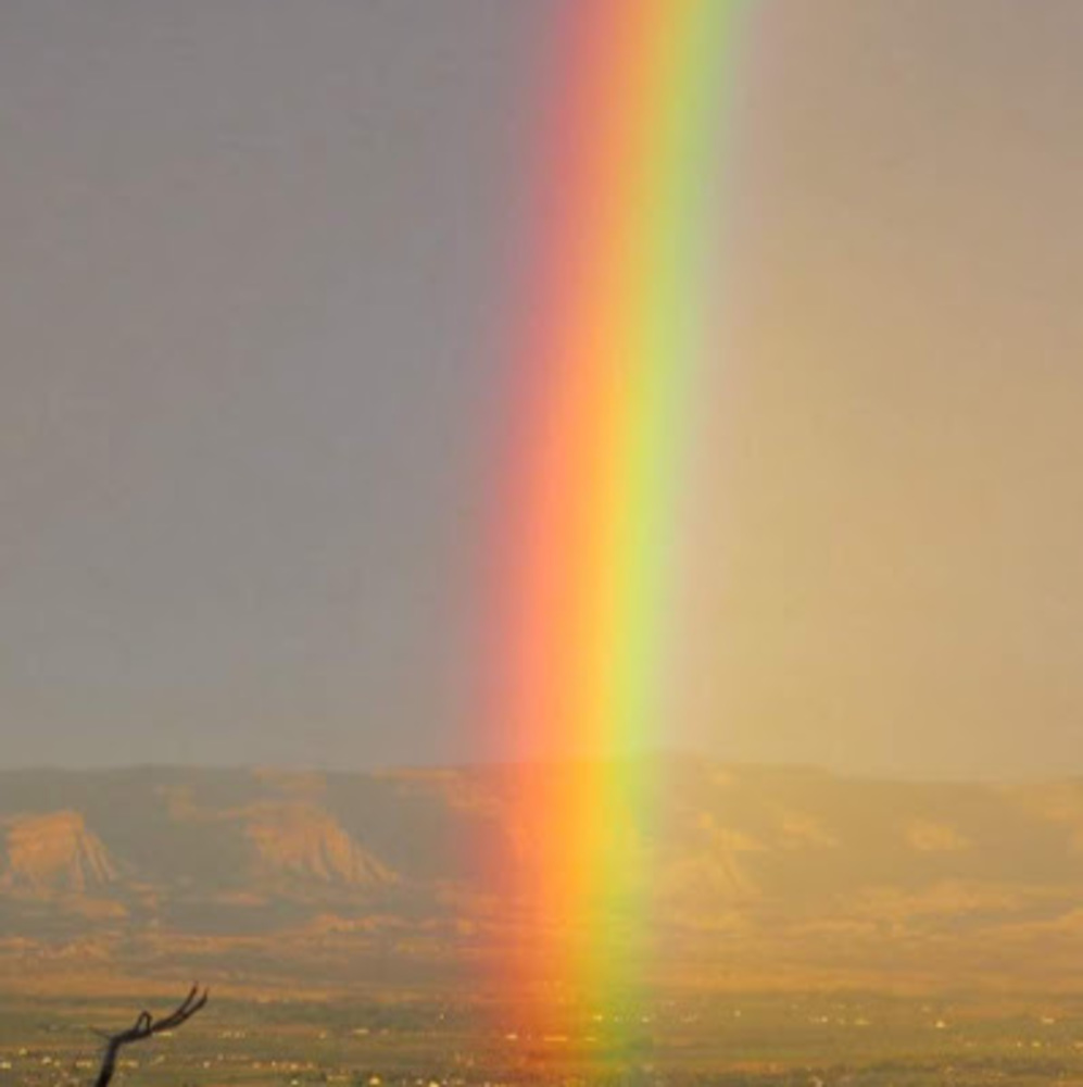 Meet your Posher, Riki